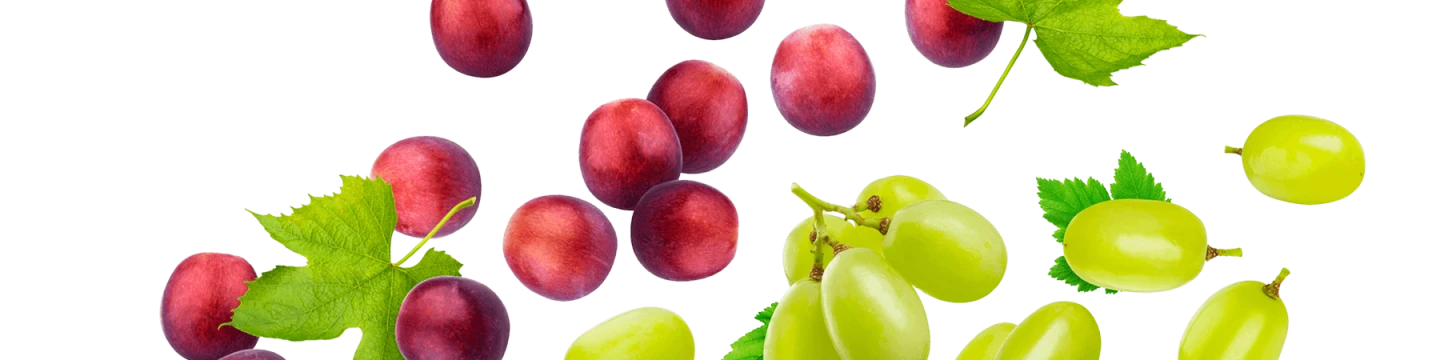 red and green grapes