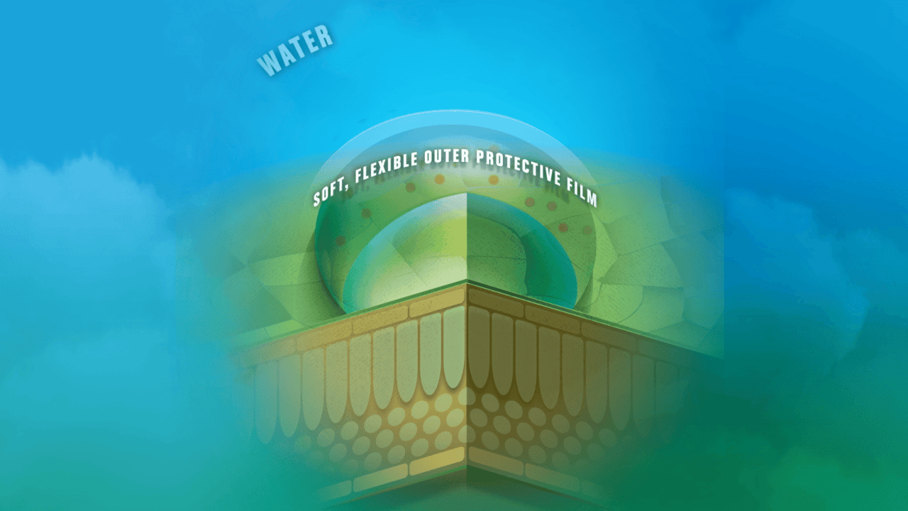 Nu-Film® P - Miller Chemical