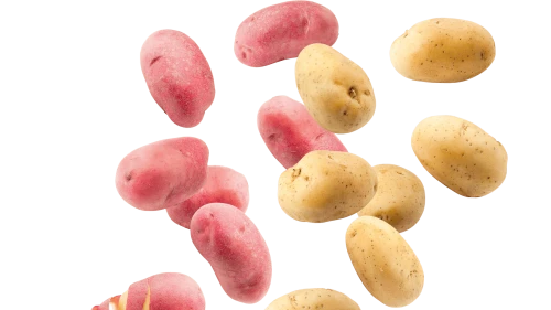 potatoes