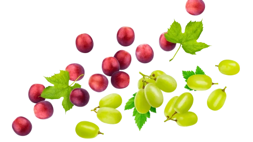 red and green grapes